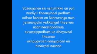 Minnale  Vaseegara Lyrics [upl. by Eirallih]