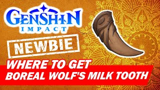 How to get Boreal Wolfs Milk Tooth  Genshin Impact for BEGINNER [upl. by Nnyl902]