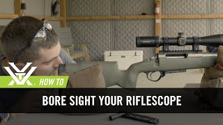 How To Bore Sight Your Rifle [upl. by Laureen]