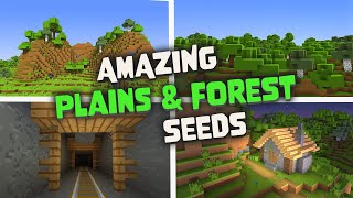 Top 6 Plains amp Forest Seeds for Minecraft  Java Edition [upl. by Rudolph]