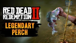 Red Dead Redemption 2 Legendary Fish  Legendary Perch [upl. by Annoet]