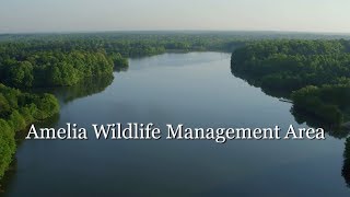 Amelia Wildlife Management Area [upl. by Eelyme]