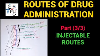 Routes Of Drug Administration 33  Pharmacology  EOMS [upl. by Ellimahs]