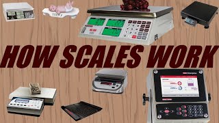 How Does a Digital Scale Work [upl. by Adnaluoy432]