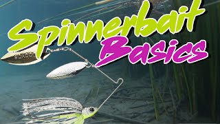 Bass Fishing Basics How To Fish A Spinnerbait [upl. by Annoerb]