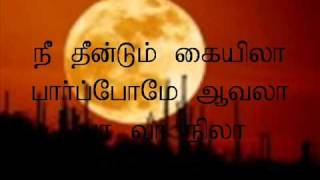 KALYANA THEN NILA With lyricwmv [upl. by Aihtnamas448]