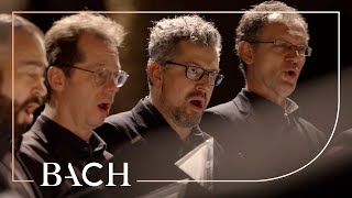 Bach  Motet Lobet den Herrn BWV 230  Prégardien  Netherlands Bach Society [upl. by Akehsyt279]