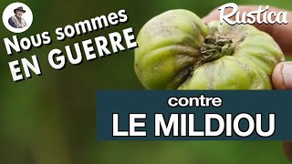 Mildiou de la tomate et étés pluvieux  comment lutter contre cette maladie cryptogamique [upl. by Terrye787]