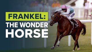 FRANKEL THE UNBEATABLE WONDER HORSE [upl. by Dlabihcra650]