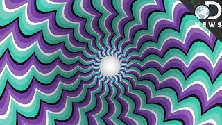 How Optical Illusions Trick Your Brain [upl. by Nuhsed]