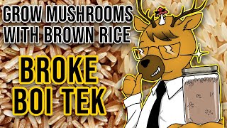 EASIEST Way to Grow Mushrooms  Broke Boi Tek [upl. by Abehs]