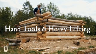 Building Log Cabin Walls  Townsends Homestead Part One [upl. by Reilly604]