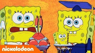 SpongeBob Kanciastoporty  Lekcja Sponge’a  Nickelodeon Polska [upl. by Naved741]