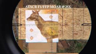 Nightforce ATACR MOAR FFP vs SFP Reticle Comparison Demo [upl. by Thurston581]