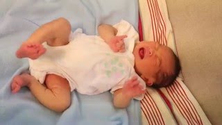 Newborn Baby Kicking and Crying [upl. by Kwabena803]