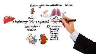 Pharmacology  HYPERTENSION amp ANTIHYPERTENSIVES MADE EASY [upl. by Etnahs]