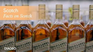 Explore Scotch Whisky and how its made  Diageo [upl. by Carly]