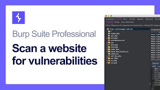 How to scan a website for vulnerabilities using Burp Scanner [upl. by Timmi171]