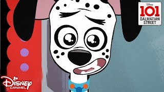 Target Pups 🎯 101 Dalmatian Street  Disney Channel Africa [upl. by Nelyahs]