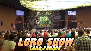 Loro Parque LORO SHOW  Tenerife 4k [upl. by Kevina]