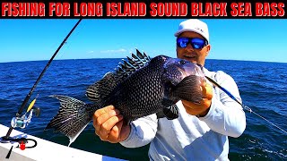 Long Island Sound Black Sea Bass Fishing [upl. by Nodarse]