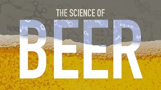 How is Beer Made [upl. by Marchese]