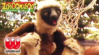 Zoboomafoo  EPISODE COMPILATION Happy Lemur Day  Animals For Kids [upl. by Araes]