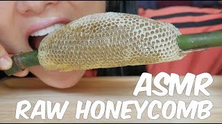 ASMR RAW HONEYCOMB EATING SOUNDS  SASASMR Part 4 [upl. by Nella]