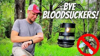 How to Make a DIY Mosquito Trap That Actually Works [upl. by Namijneb]