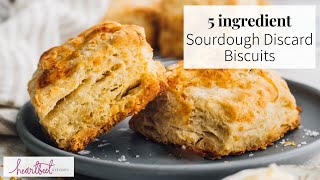 5 Ingredient Sourdough Discard Biscuits [upl. by Triplett]