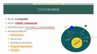 Immunosuppressants 2019 [upl. by Lednahs]