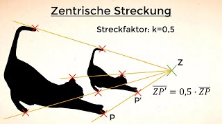 Zentrische Streckung Ähnlichkeitsabbildungen Klasse 8 [upl. by Annalla]