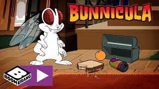 Bunnicula  The Fly Boys  Boomerang UK 🇬🇧 [upl. by Vilberg]