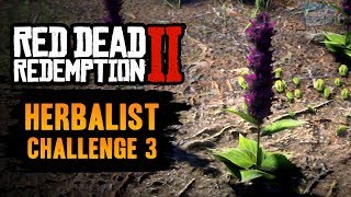 Red Dead Redemption 2 Herbalist Challenge 3 Guide  Craft 7 items using Sage as an ingredient [upl. by O'Driscoll647]