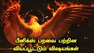 பீனிக்ஸ் பறவை பற்றின வியப்பூட்டும் தகவல்கள்  Unknown facts about Phoenix bird [upl. by Goldy]