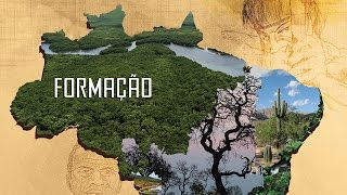 Bioma Mata Atlântica no Brasil [upl. by Euqimod]