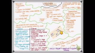 OCR A LEVEL BIOLOGY  UNIT 51  HOMEOSTASIS [upl. by Cud]