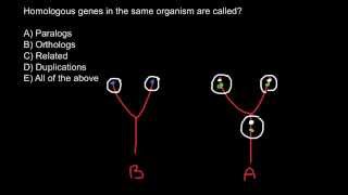 What is the difference between paralogus and orthologus genes [upl. by Morrissey]