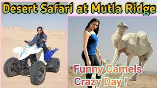 Desert Safari in Kuwait  Buggy Ride  Camel Ride  Desert Camping at Mutla Ridge with all details [upl. by Apple]