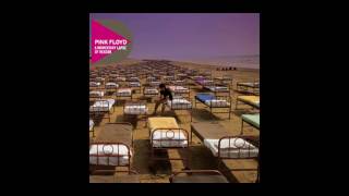 Pink Floyd  The Dogs of War Video [upl. by Wheeler276]