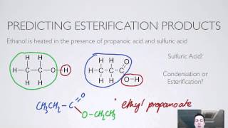 10 Esterification [upl. by Ynnaej]