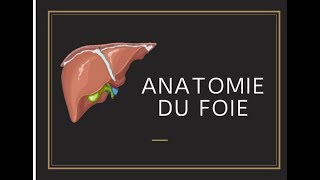 Anatomie du foie [upl. by Preiser]