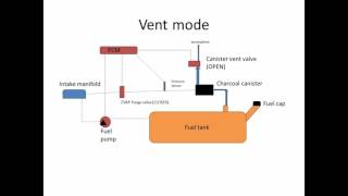 6Speeds Lectures How your EVAP system works [upl. by Abdella]