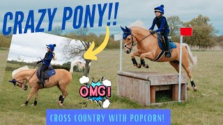 Crazy Pony at Cross Country [upl. by Maddis404]