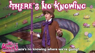 Willy Wonka  Theres No Knowing SingaLong Version [upl. by Seuqramed880]