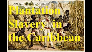 32 When sugar ruled the world Plantation slavery in the 18th c Caribbean [upl. by Pheni998]