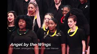 Angel by the Wings  Stellenbosch University Choir [upl. by Anemix]