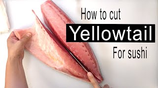 How to break down yellowtail hamachi into parts for sushi [upl. by Galligan]