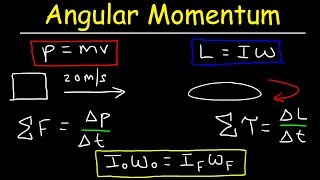 Angular Momentum  Basic Introduction Torque Inertia Conservation of Angular Momentum [upl. by Aniarrol]