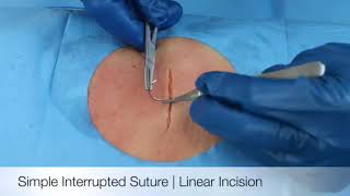 How to suture  part 1 handling surgical instruments [upl. by Ysdnyl]